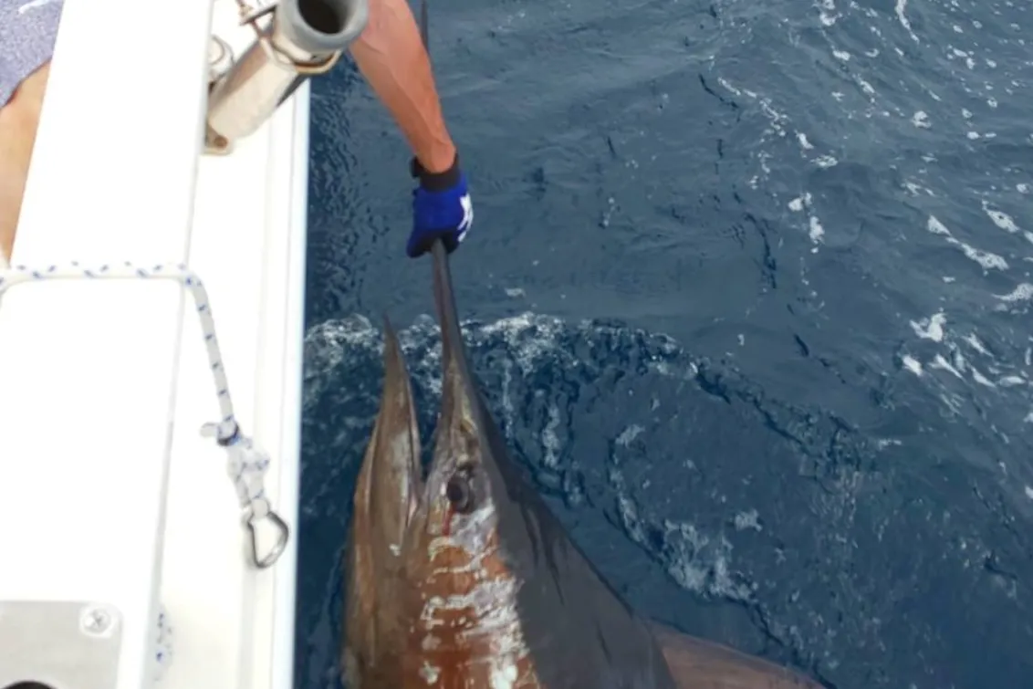 有限会社小倉工業所_本店_休日の楽しみ方！！