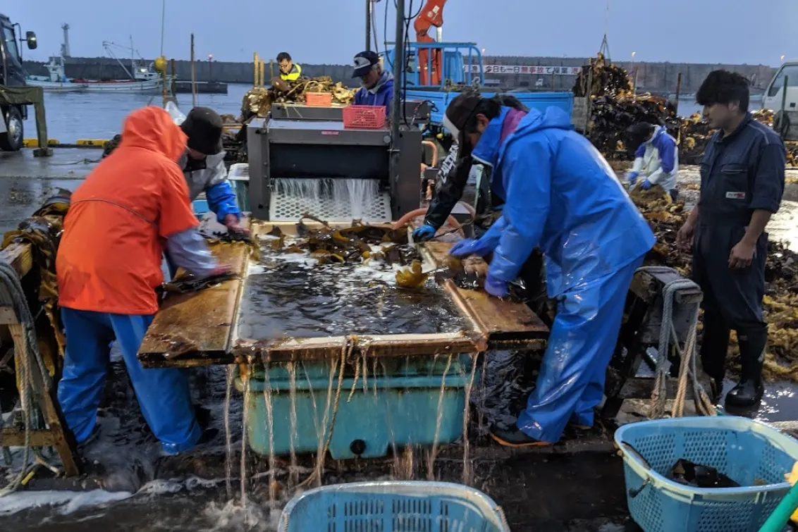 株式会社ティーアンドエーマリン_本社_取り扱い機械2