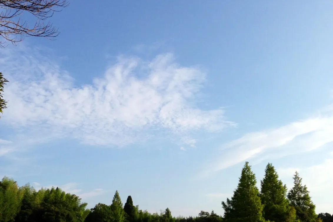 パシフィックゴルフマネージメント株式会社