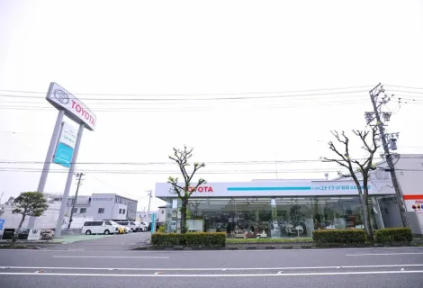 トヨタユナイテッド静岡