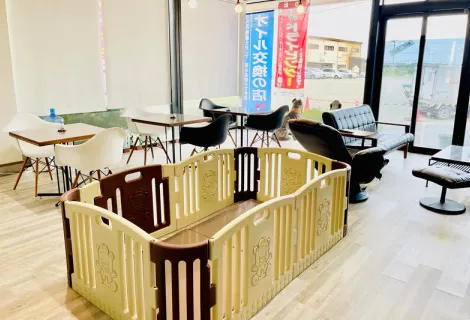 株式会社　城陽モータース_本社_内観
