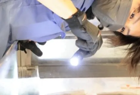 株式会社ラックランド_新潟営業所_サービスエンジニア2